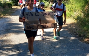 SORTIE TDF